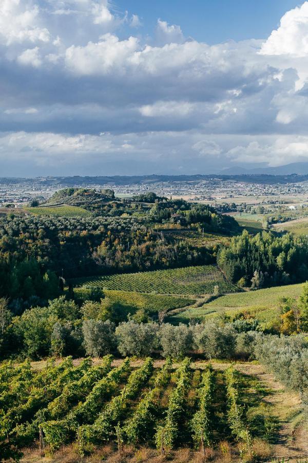 Agriturismo Bellavista San Miniato Exterior photo